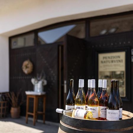 Penzion A Vinarstvi Naturvini Miroslav  エクステリア 写真