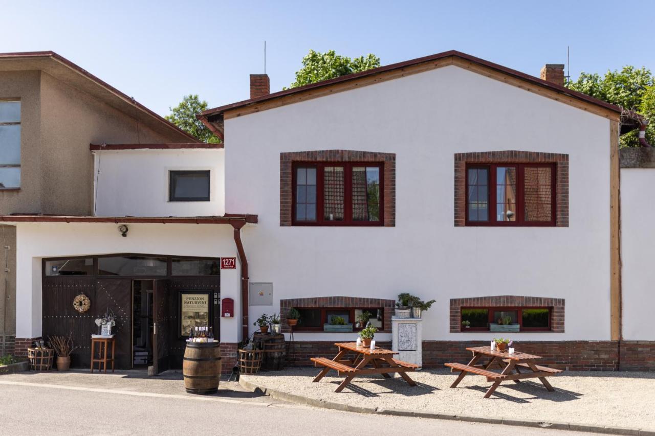 Penzion A Vinarstvi Naturvini Miroslav  エクステリア 写真