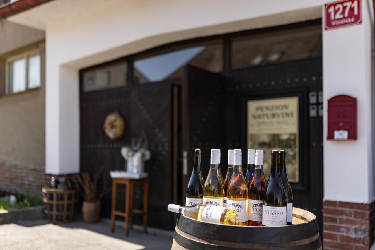 Penzion A Vinarstvi Naturvini Miroslav  エクステリア 写真