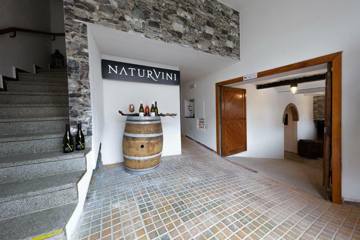 Penzion A Vinarstvi Naturvini Miroslav  エクステリア 写真