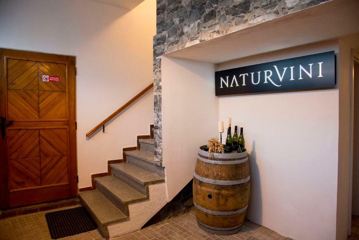 Penzion A Vinarstvi Naturvini Miroslav  エクステリア 写真